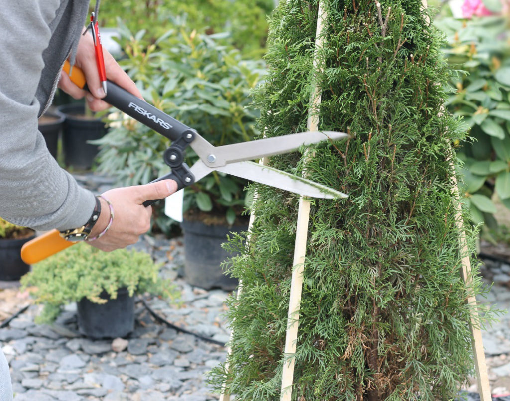 Услуги электрика, сантехника, «Муж на час»